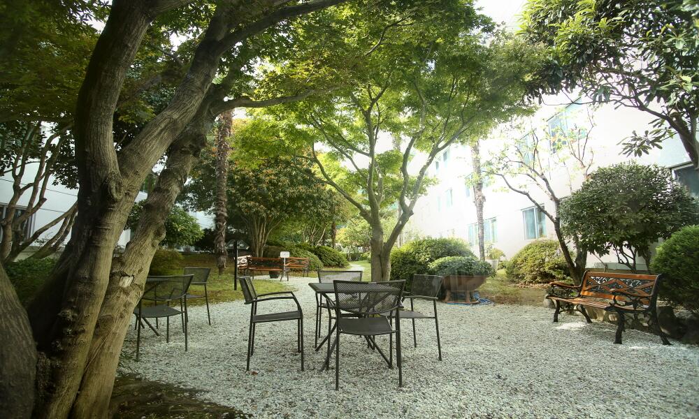 Admiral Hotel - thumb 1