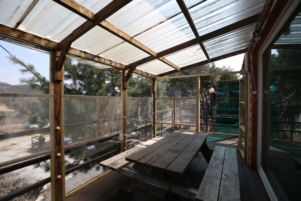 AjineGip Pension - thumb 4