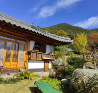 Apricot tree Minbak - Accommodation South Korea