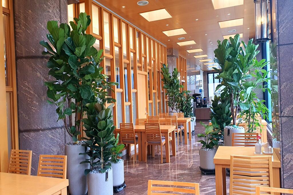 Arban Hotel - thumb 6