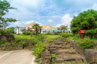 Arting Pension Accommodation South Korea