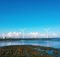 Bae Bae Guesthouse - Accommodation South Korea