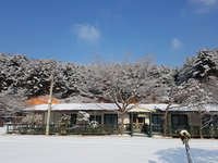 Bluesky Pension Accommodation South Korea