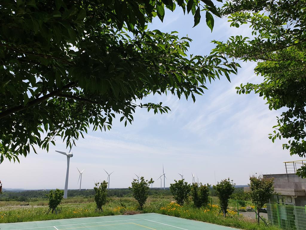 Brassica Flower Pension - thumb 1