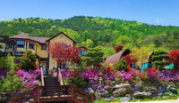 CHAEUL Pension Accommodation South Korea