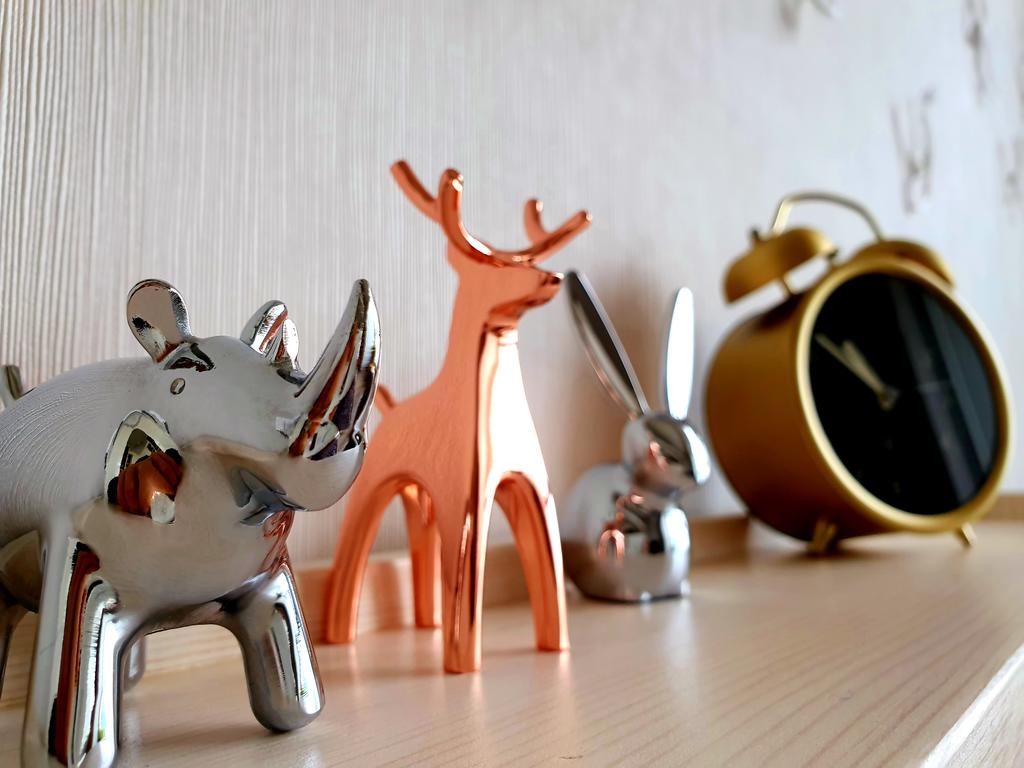 Cozy Studio - thumb 5