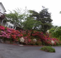 Daecheon Ocean Hill Pension - Accommodation South Korea