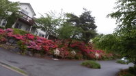 Daecheon Ocean Hill Pension Accommodation South Korea