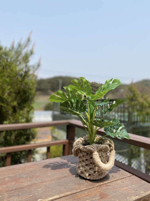 Dalbam Pension - thumb 5