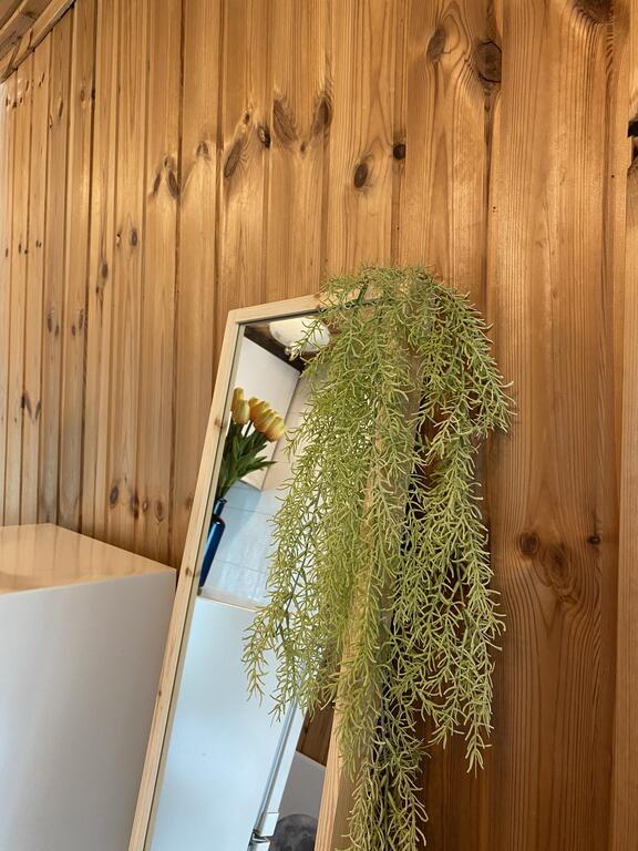 Dalbam Pension - thumb 8