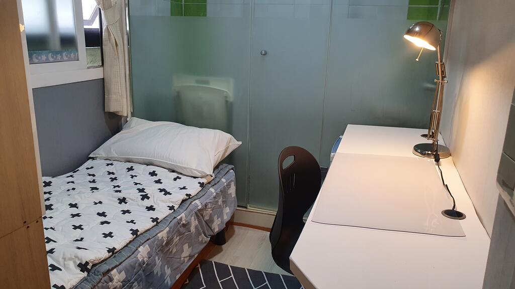 Dodo House - thumb 5