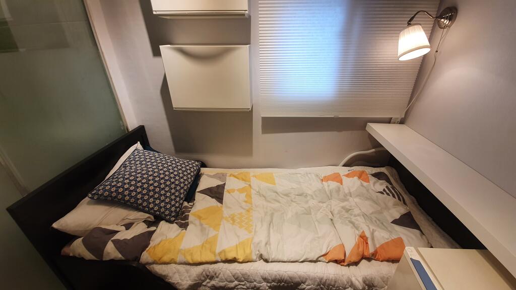 Dodo House - thumb 1