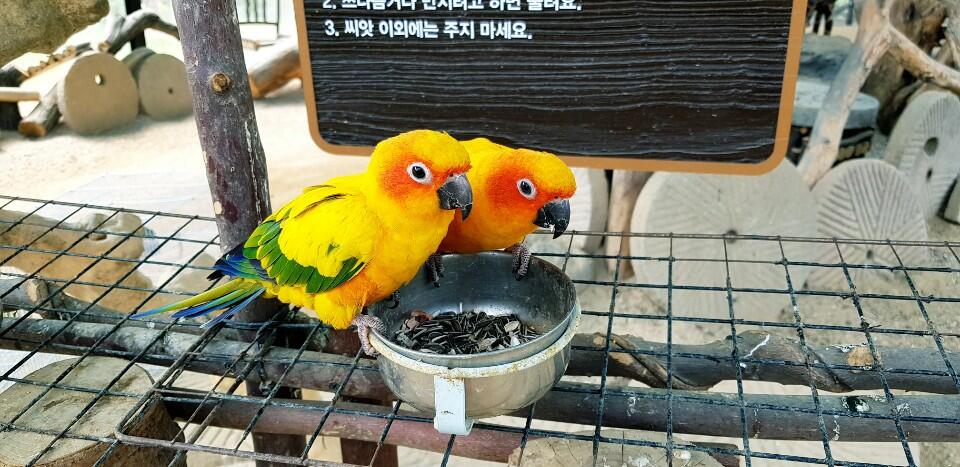 Dongwha Healing Camp - thumb 7