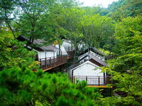 Dongwha Healing Camp Accommodation South Korea