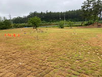 Famillie Boutique Hotel Accommodation South Korea