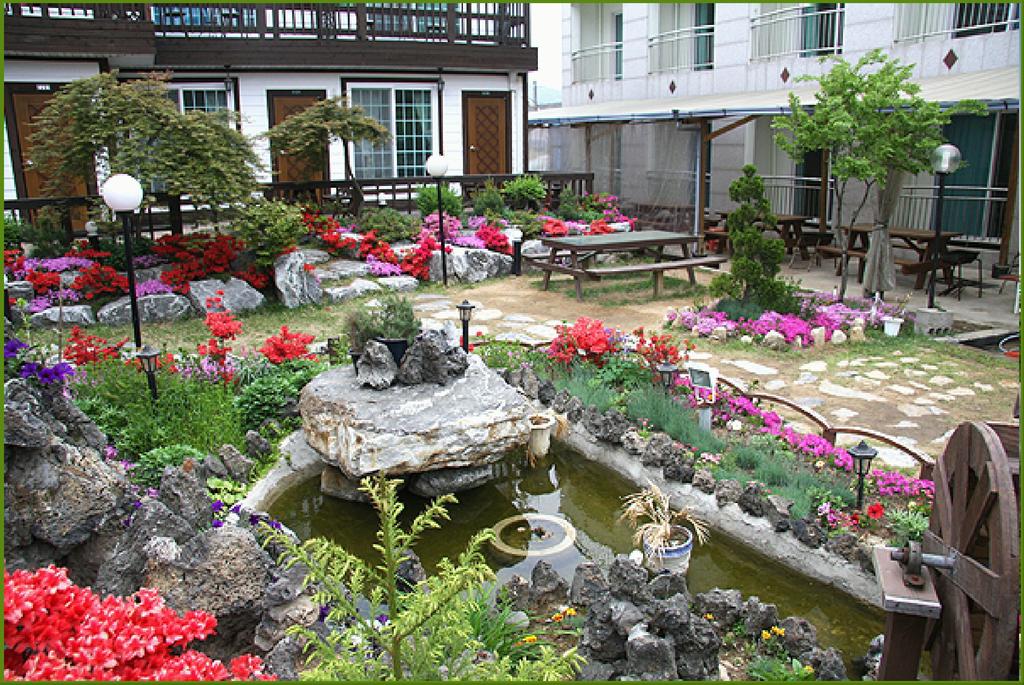 First Pension - thumb 5