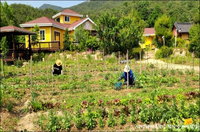 Book Boeun Hotels, Accommodation South Korea Accommodation South Korea