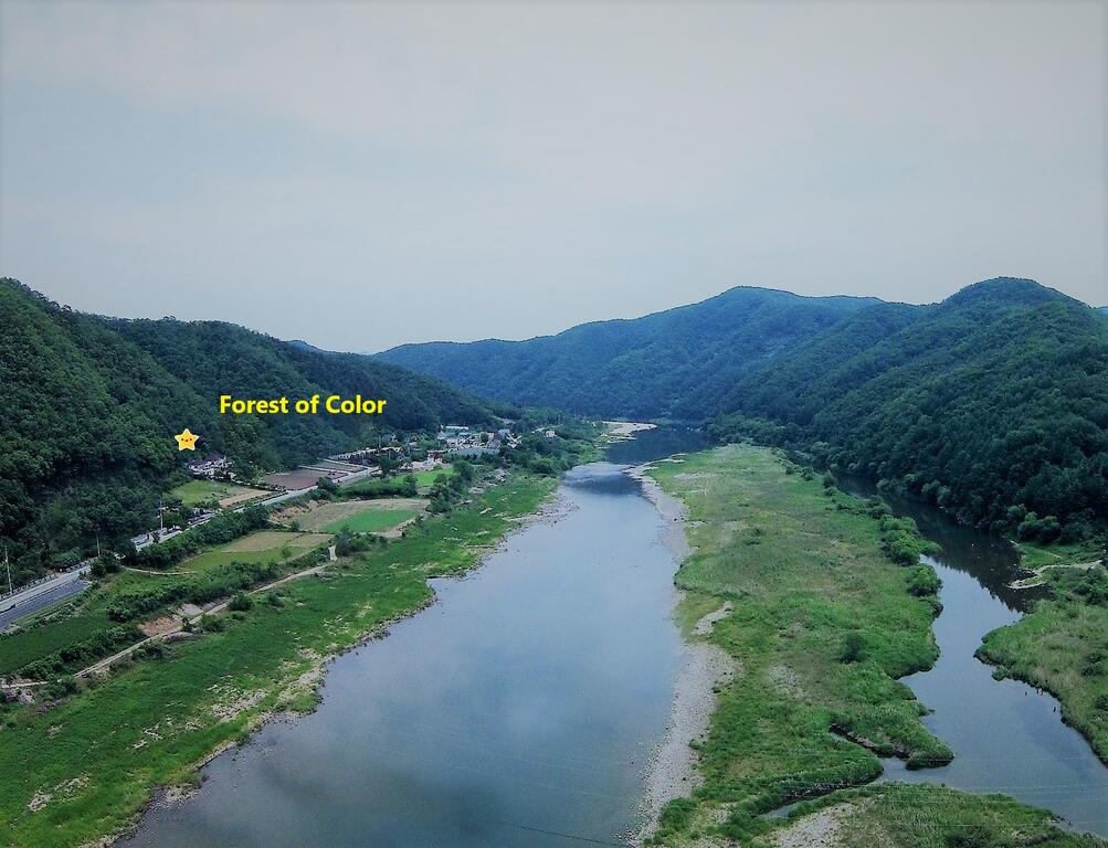 Forest Of Color Pension - thumb 5