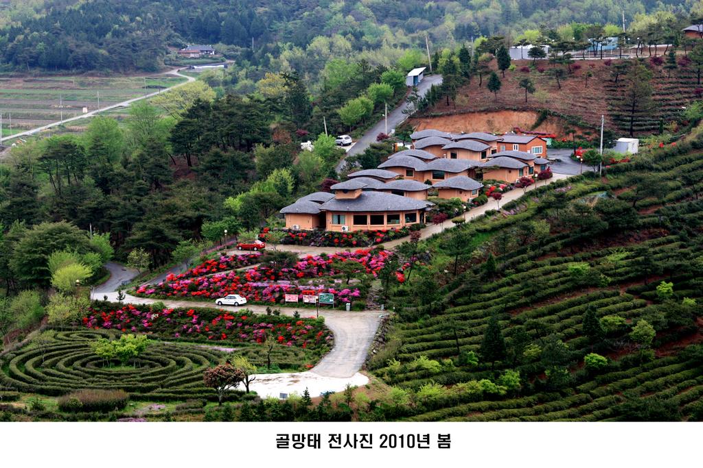 Golmangtae Pension - thumb 0