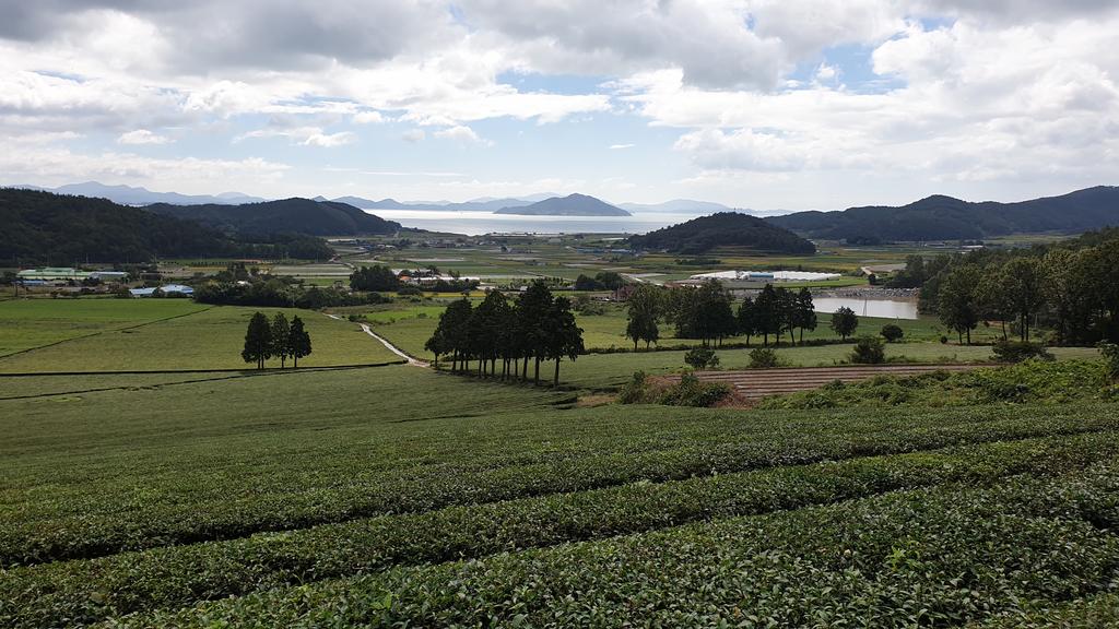 Golmangtae Pension - thumb 2