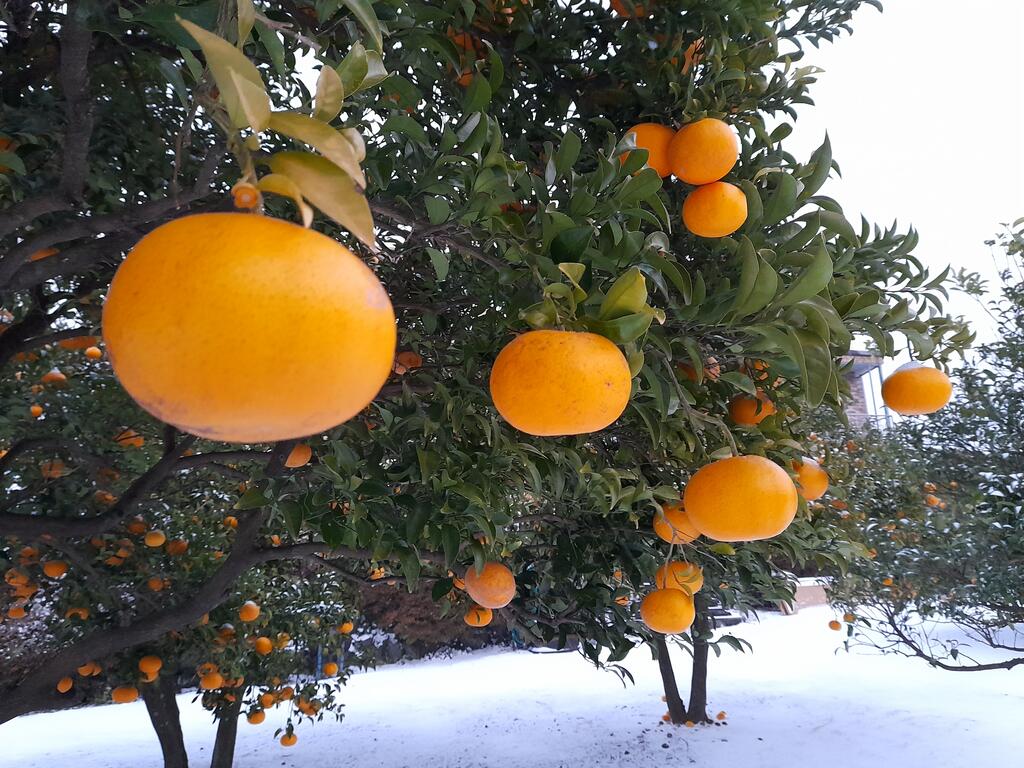 Haeansung Pension - thumb 4