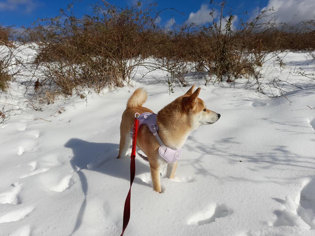 Haeansung Pension - thumb 3