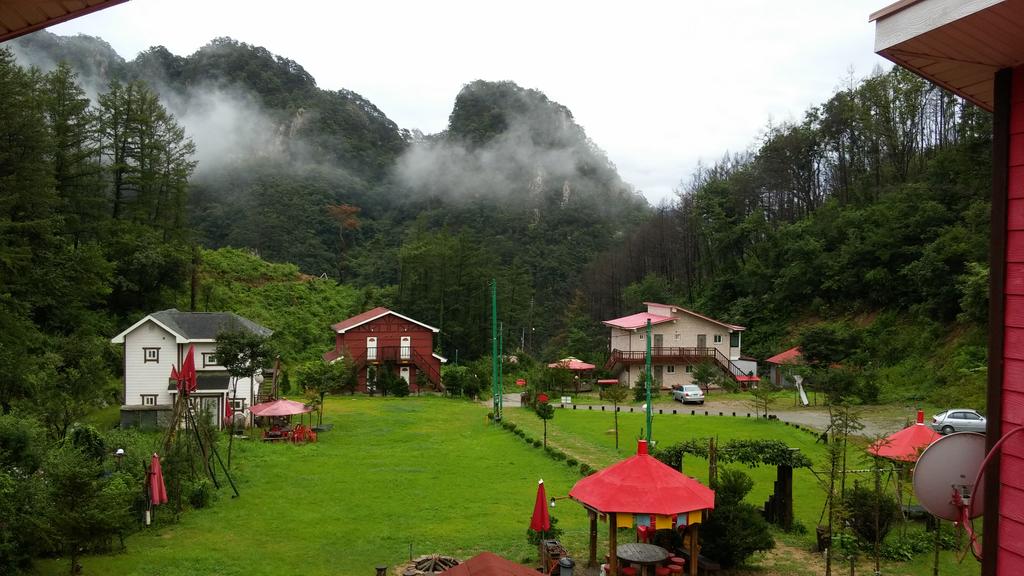 Heidi K. Haus - thumb 1