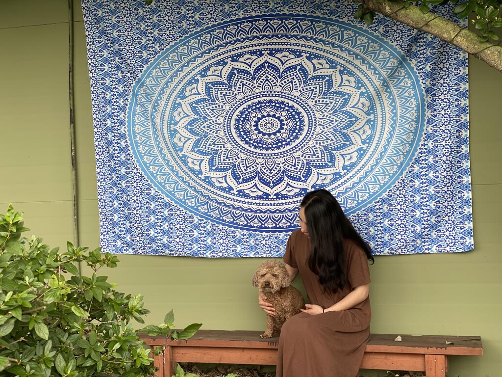 Hot Dog Pension - thumb 1