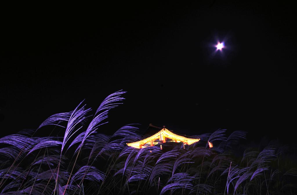 Hwaseong Guesthouse - thumb 5