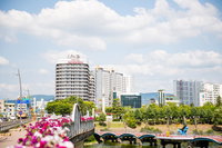 Jackson9s Hotel Accommodation South Korea