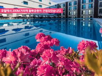 Jeju Cordelia S Hotel Accommodation South Korea