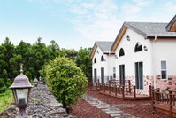 Jeju Cunny Pension Accommodation South Korea