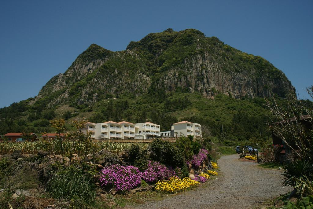 Jeju The Ocean Hill Pension - thumb 1
