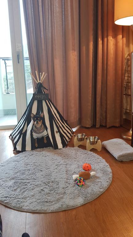 Jeongseon Mayhills Resort - thumb 7