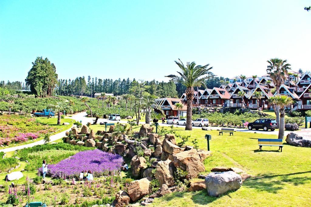 Jungmun Log Pension & Resort - thumb 0