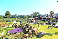 Jungmun Log Pension  Resort Accommodation South Korea