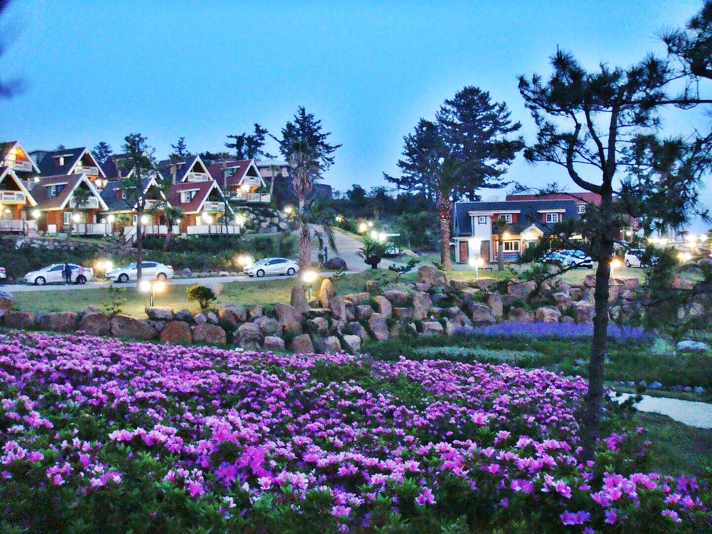 Jungmun Log Pension & Resort - thumb 1