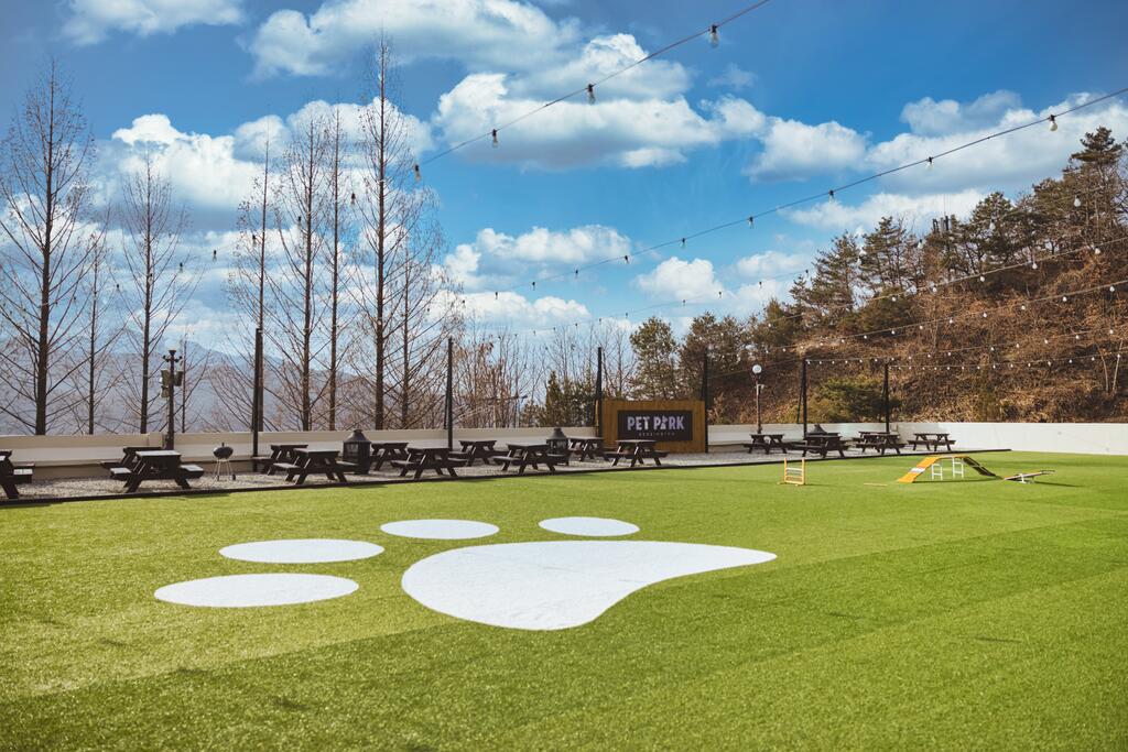 Kensington Resort Chungju - thumb 4