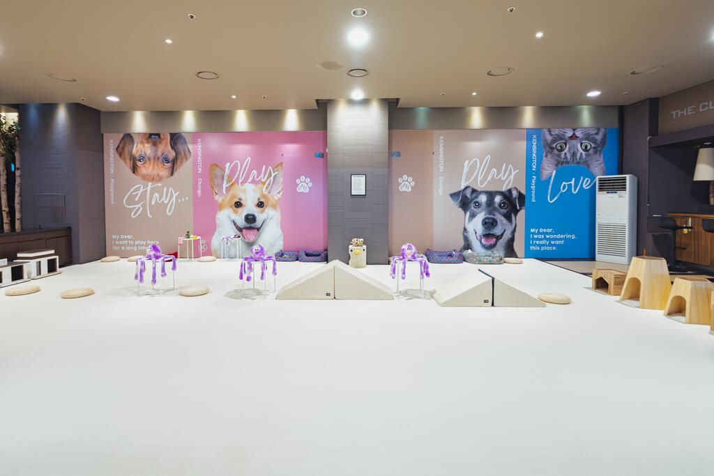 Kensington Resort Chungju - thumb 6