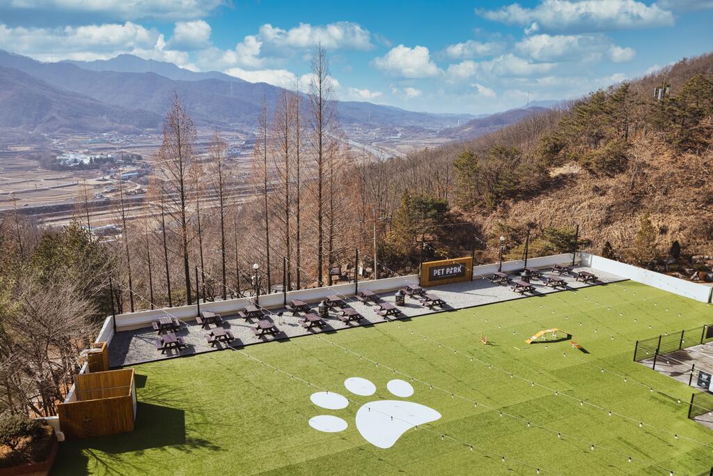 Kensington Resort Chungju - thumb 3