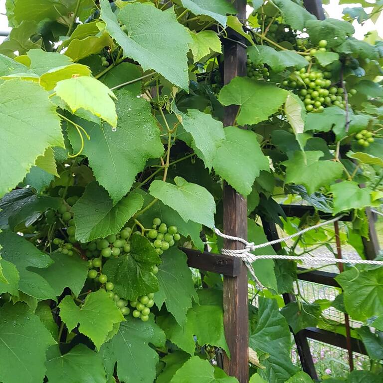 Matryoshka House - thumb 0