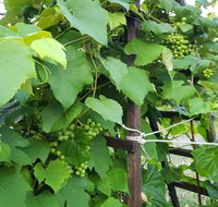 Matryoshka House - Accommodation South Korea