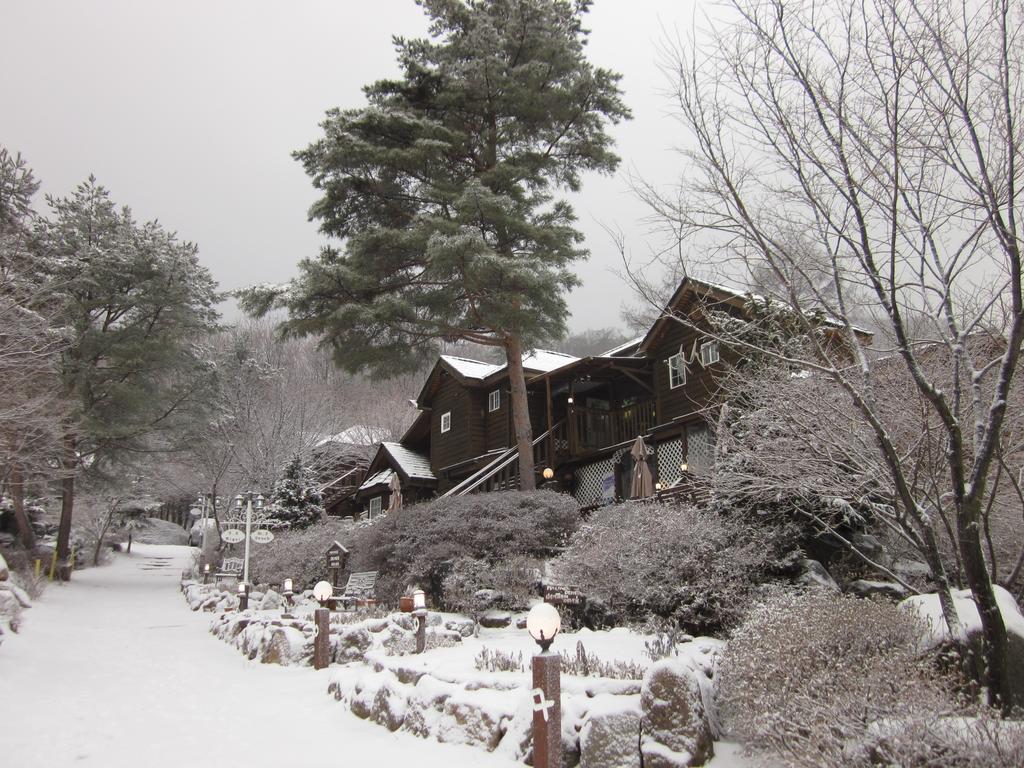 Mayfair Deneb Pension - thumb 2