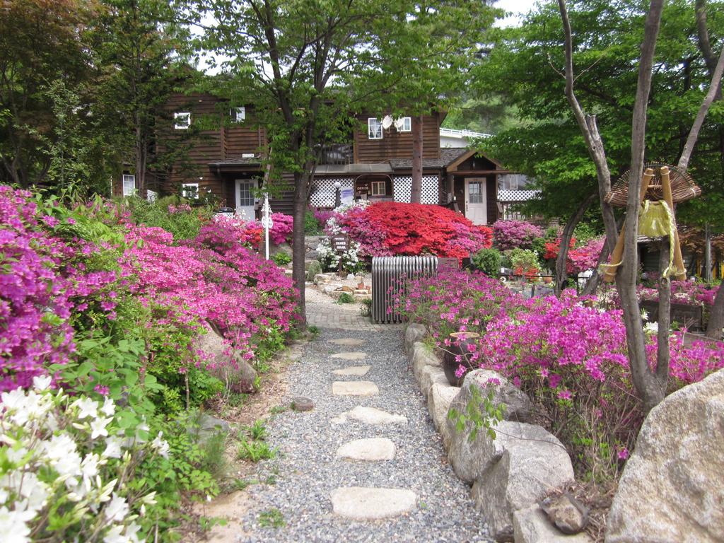 Mayfair Deneb Pension - thumb 6