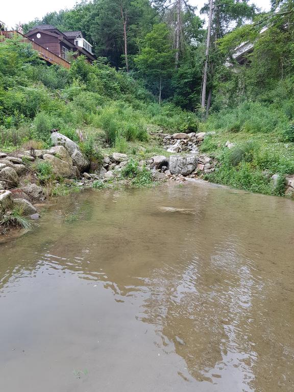 Mayfair Rodem Tree Shelter - thumb 8