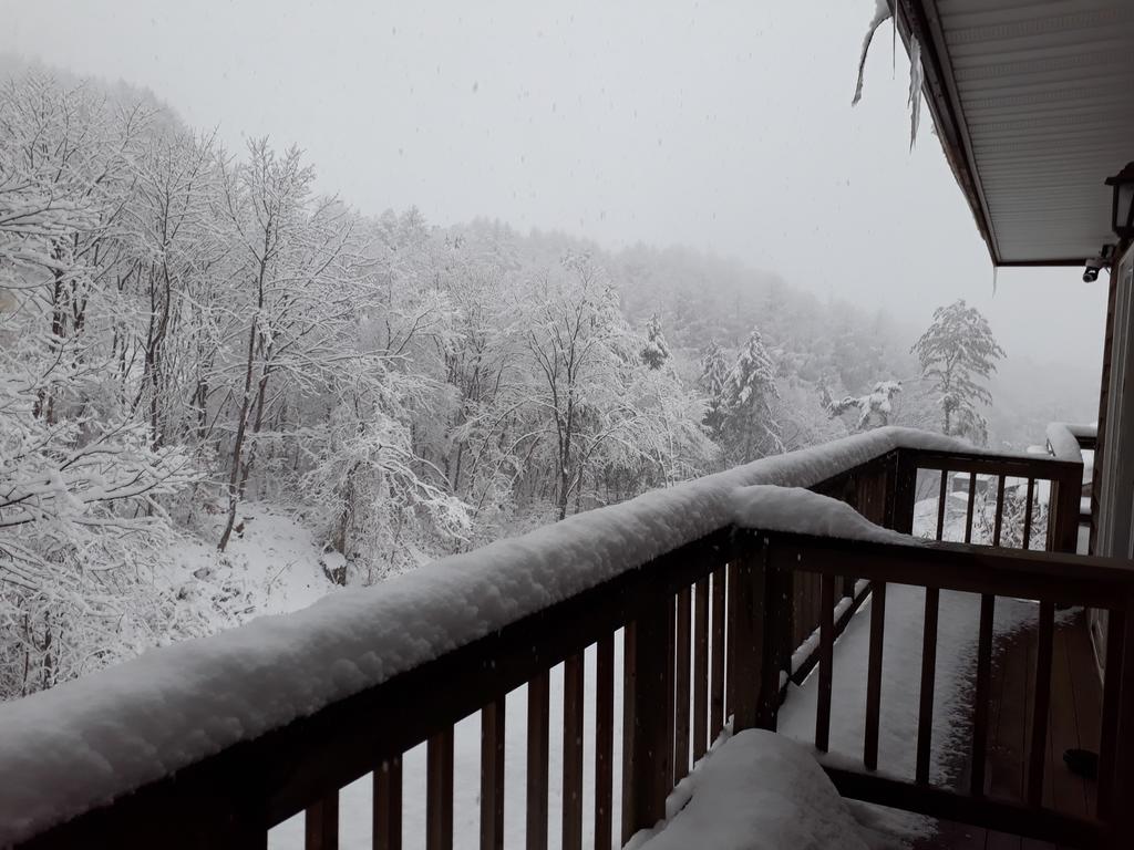 Mayfare Narsha Pyeongchang - thumb 3