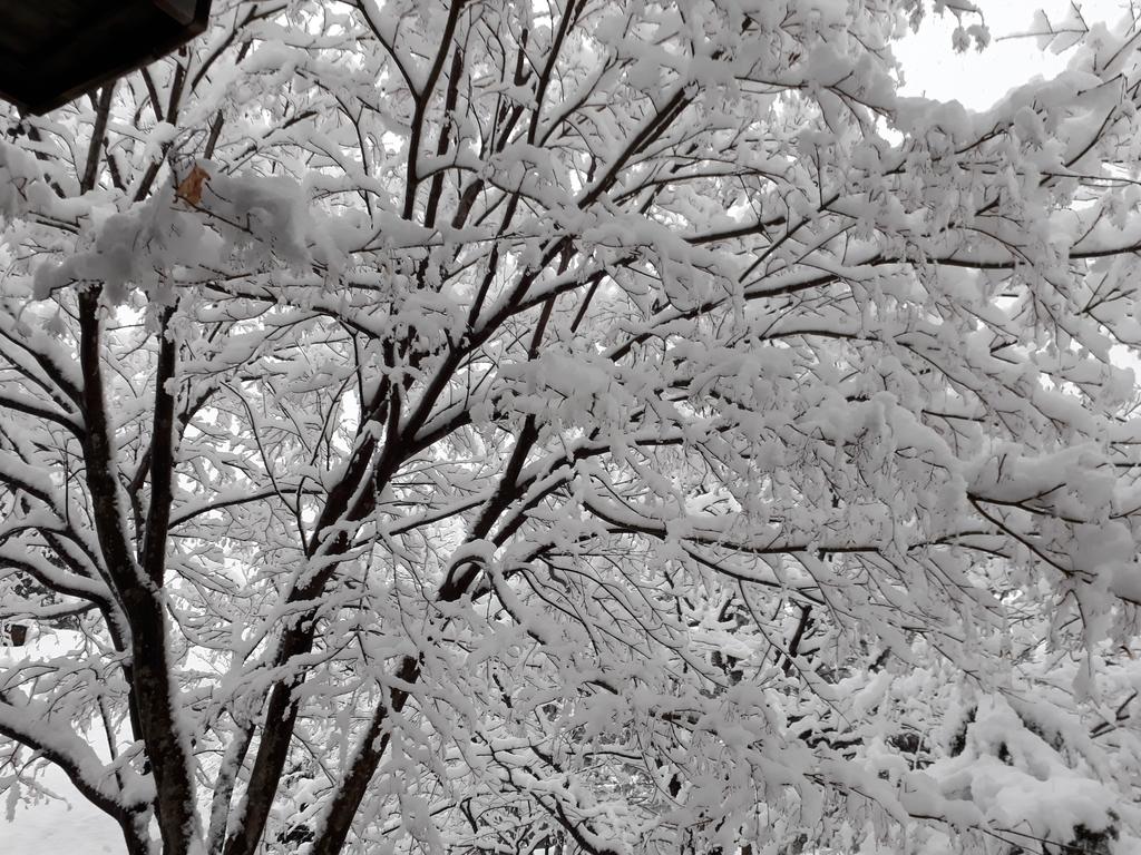 Mayfare Narsha Pyeongchang - thumb 4