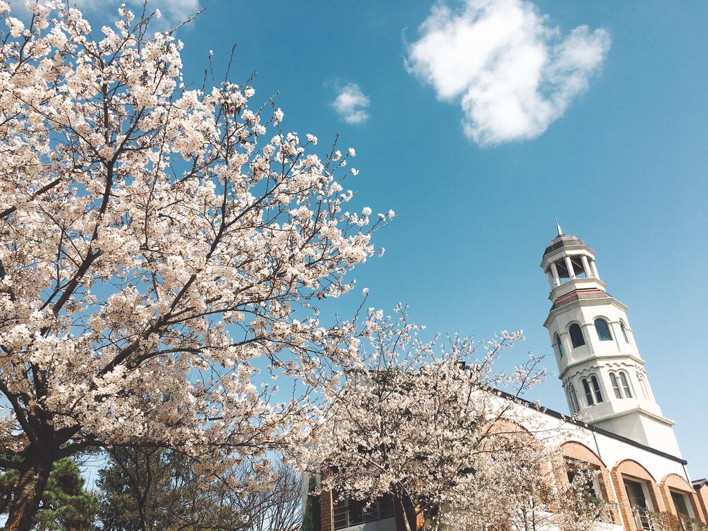 Mayfield Hotel Seoul - thumb 0