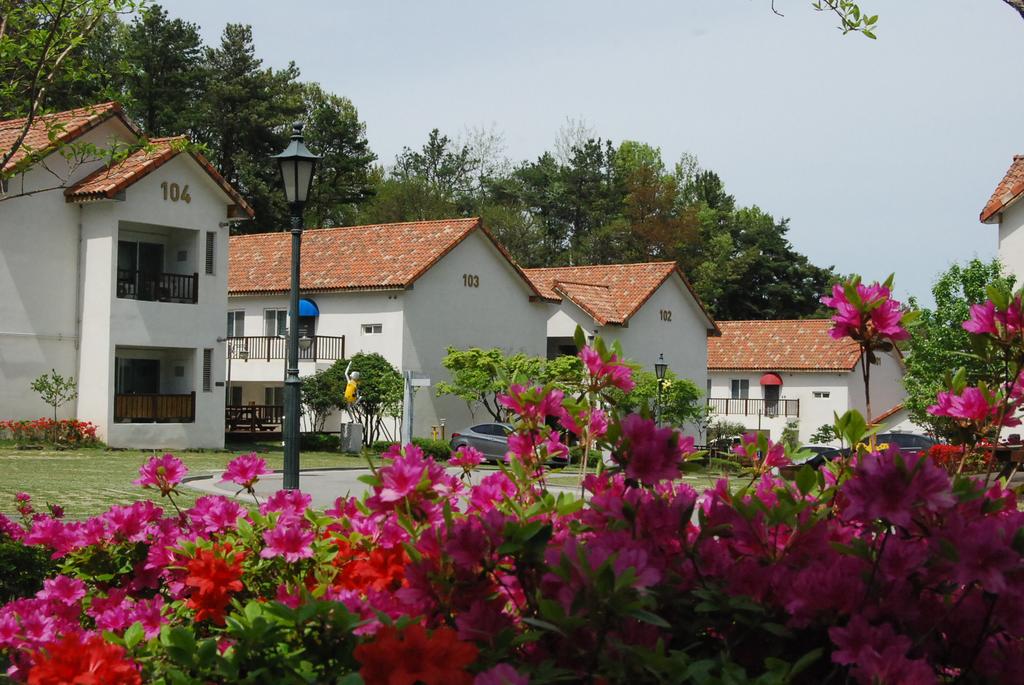 Meta Hotel & Resort - thumb 1