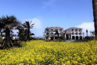 Book Seogwipo Hotels, Accommodation South Korea Accommodation South Korea